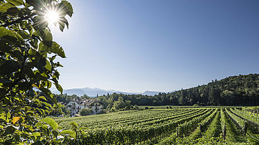 Weingut Stroblhof